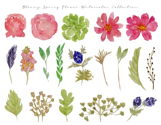 zestaw ślicznych ręcznie malowanych wiosennych kwiatów akwareli