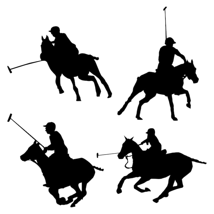 Wektor zestaw sylwetki gracza w polo d