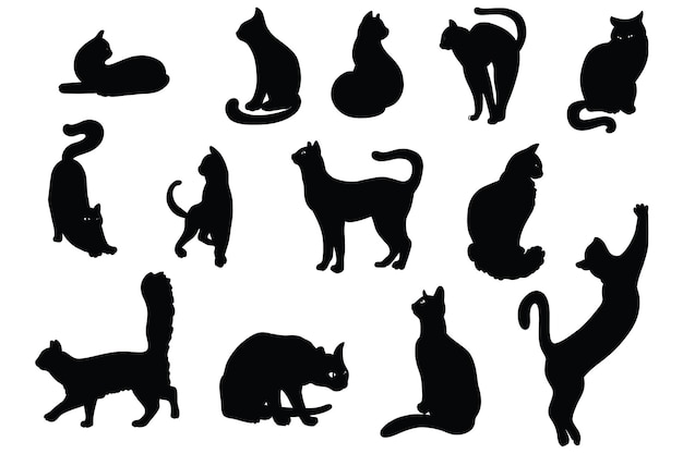 Zestaw Sylwetki Kotów Pod Różnymi Kątami Rysowane Ręcznie Ilustracja Wektorowa