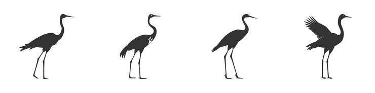Wektor zestaw sylwetki ptaka żurawia ilustracja wektorowa