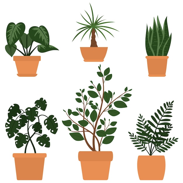 Plik wektorowy zestaw sześciu ilustracji uroczych roślin z kreskówek w doniczkach