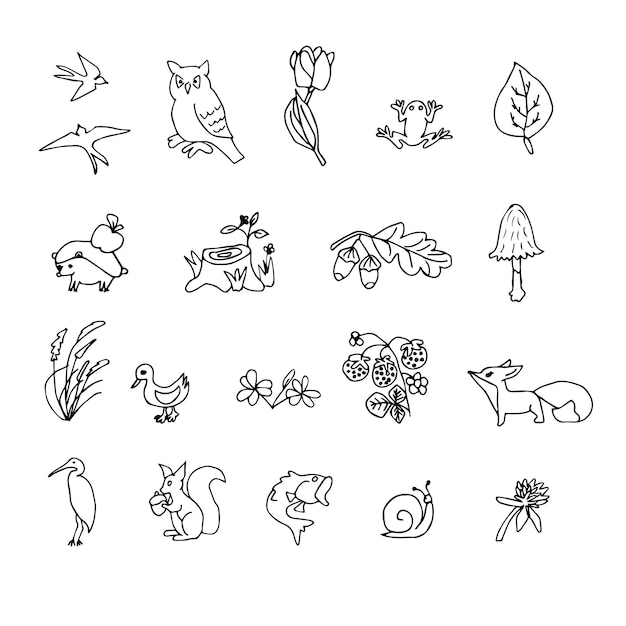 Zestaw uroczych jesiennych postaci z kreskówek roślin i owoców Sezon jesienny Zwierzęta leśne Kolekcja elementów konturu doodle