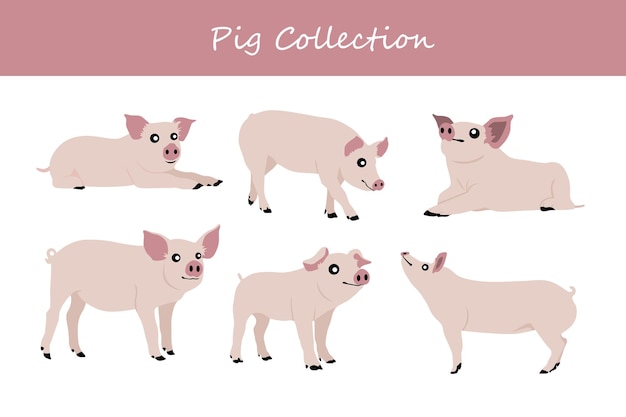 Zestaw uroczych świń ilustracja wektorowa izolowana na białym tle