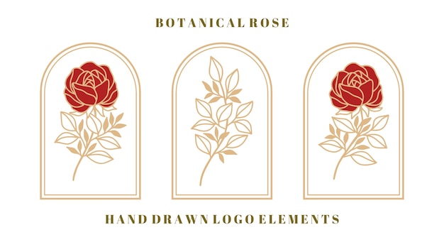Zestaw Vintage Botaniczny Kwiat Róży I Element Liści Dla Logo I Marki Kobiecego Piękna