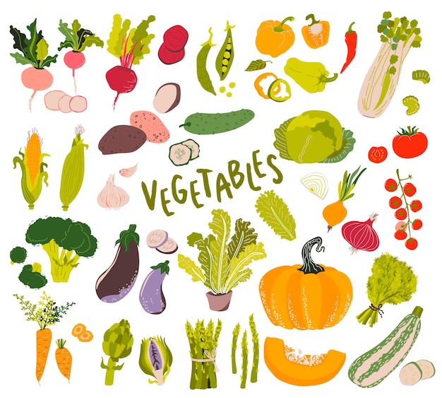 Plik wektorowy zestaw warzyw kolekcja produktów wegetariańskich w plasterkach