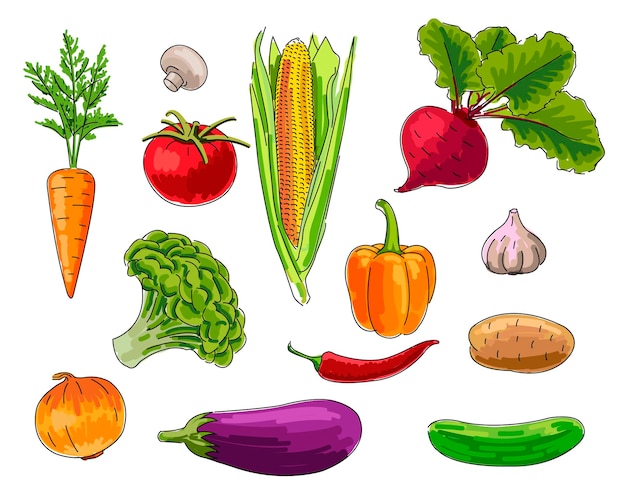 Zestaw warzyw ręcznie rysowanych jasnych kolorowych ilustracji