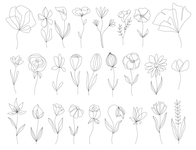 Zestaw Wektor Doodle Ręcznie Rysowane Elementy Kwiatowe Elementy Dekoracyjne Do Zaproszenia Do Projektowania