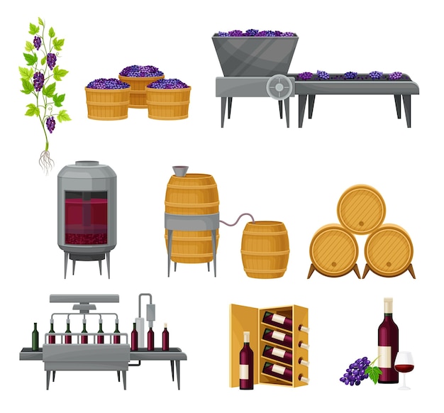 Zestaw Wektorów Procesu Produkcji Wina Winogronowego Z Fermentacją Alkoholową I Wlewaniem Do Butelek