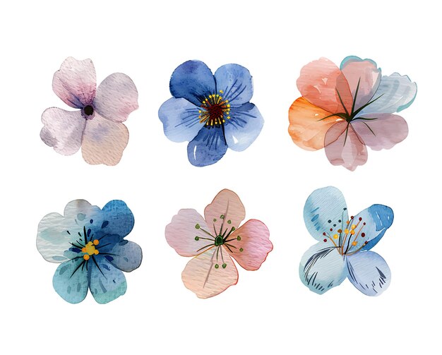 Plik wektorowy zestaw wiosennych kwiatów akwarelowych