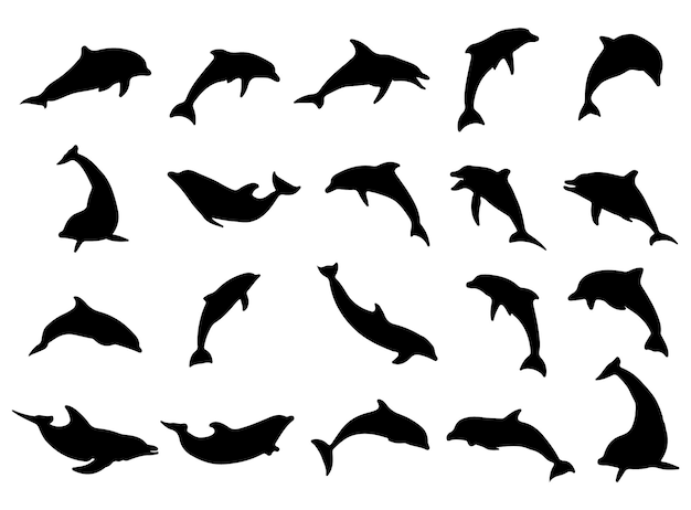 Plik wektorowy zestaw z kolekcji sylwetki dolphin
