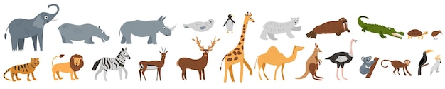 Zestaw Zabawnych Dzikich Zwierząt Afrykańskich, Arktycznych, Australijskich, Azjatyckich, Ssaków Morskich, Gadów, Ptaków. I