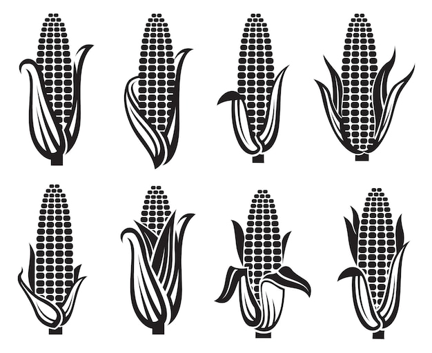 Plik wektorowy zestaw zdjęć kukurydzy