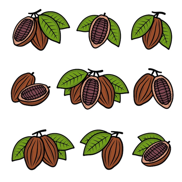 Zestaw ziaren kakaowca. Kolekcja ikony ziarna kakaowego. Ilustracja wektorowa