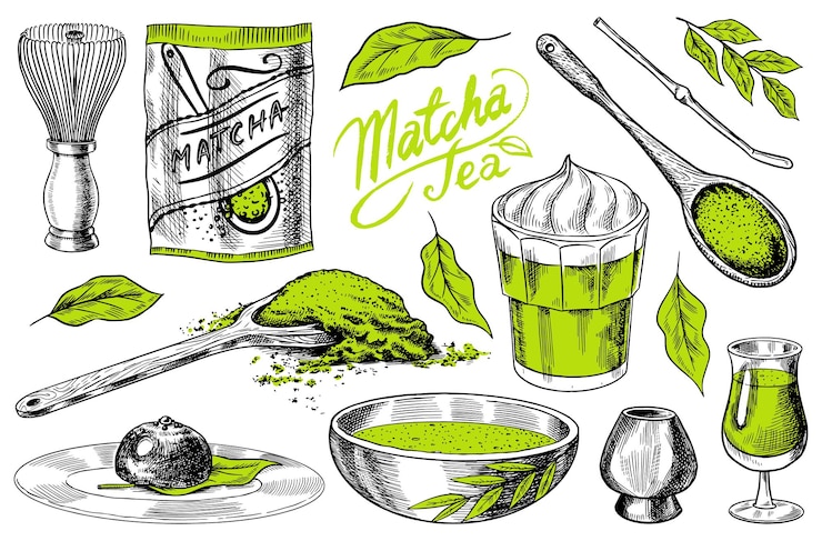 Wektor zestaw zielonej herbaty matcha proszek organiczny bambusowa trzepaczka chasen miska chawan łyżka chashaku na japońską ceremonię zdrowe latte z mlekiem kokosowym grawerowane ręcznie rysowane vintage szkic do plakatu