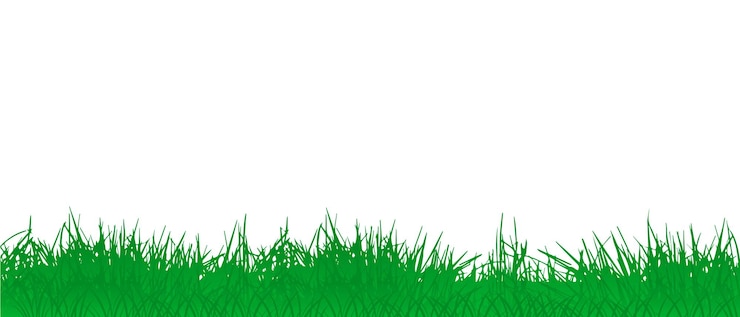 Wektor zielona grassmeadowgranica lato trawy na białym tletło trawywektor