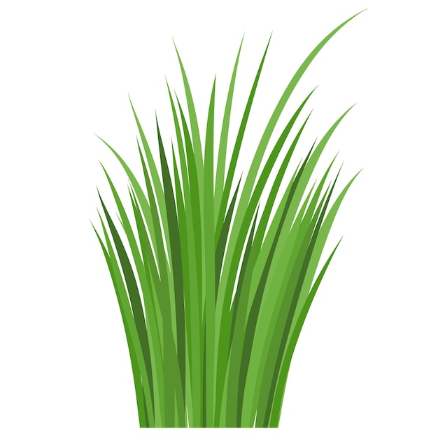 Zielona trawa dla naturalnego krajobrazu ogrodowego Ekologiczna ekologia botaniczna