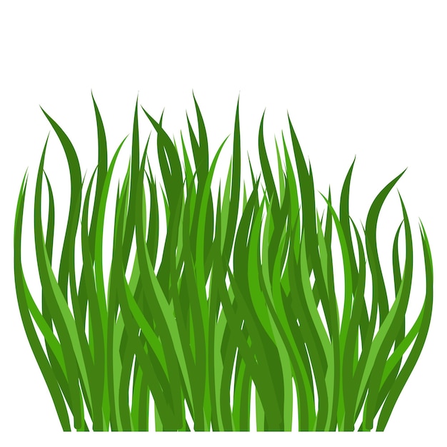 Zielona trawa dla naturalnego krajobrazu ogrodowego Ekologiczna ekologia botaniczna