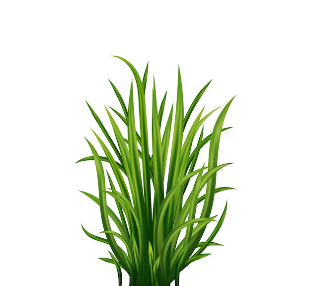 Plik wektorowy zielona trawa świeże zioło naturalne ekologiczne etykieta ekologiczna ilustracja wektorowa