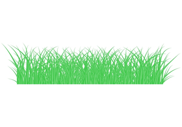 Zielona Trawa Wyizolowana Z Przezroczystego Tła