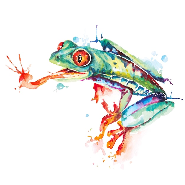 Zielona żaba pomalowana akwareląRedeye Rzekotka Agalychnis callidryasZwierzęta płazów