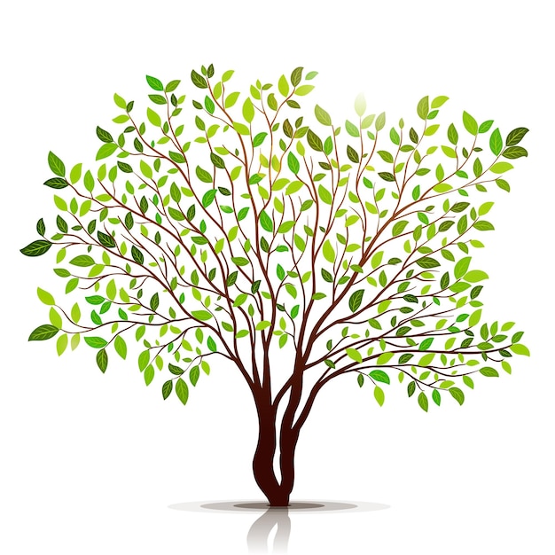 Plik wektorowy zielone drzewo z liśćmi na białym tle wektor