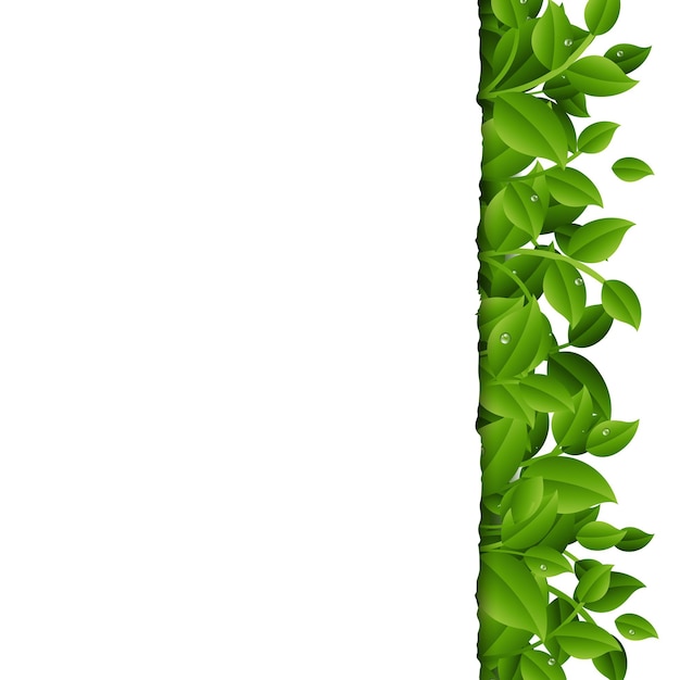 Plik wektorowy zielone gałęzie z liśćmi granicy