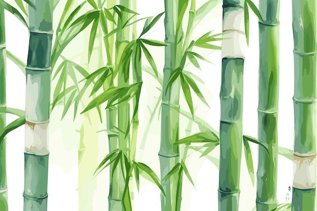 Zielone łodygi I Liście Bambusa Izolowane Na Białym Tle