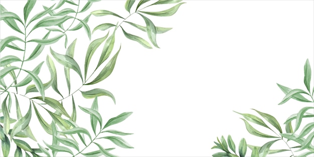 Zielone rośliny Oleander gałęzie Szablon z liśćmi oliwek Horyzontalna ramka z przestrzenią do kopiowania tekstu Ilustracja akwarelowa Kwiatowa tropikalna konstrukcja dla kart zaproszeń na przyjęcie weselne