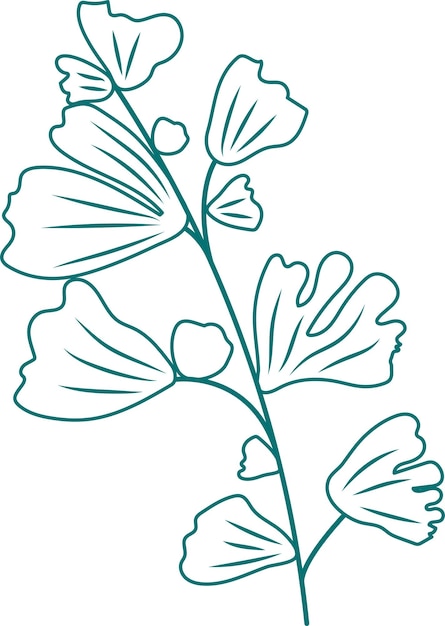 Zielone Rustykalne Organiczne Liście Szkice Botaniczne Ilustracja Roślin Art