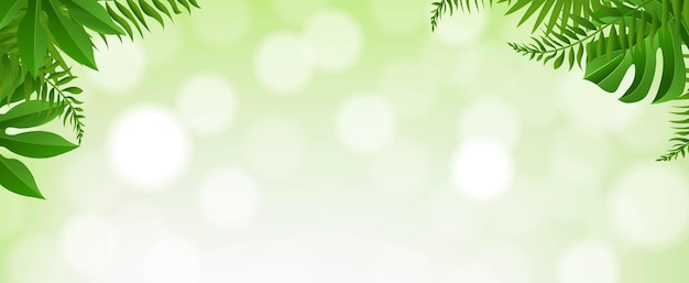 Plik wektorowy zielone tropikalne liście borde z bokeh z gradientową siatką, ilustracji wektorowych