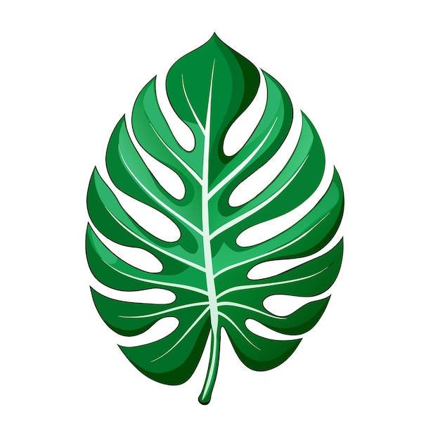 zielony dekor liść monstera