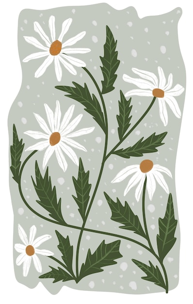 Plik wektorowy zielony i biały wzór kwiatowy z białymi margaritkami na zielonym tle