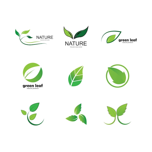 Zielony Liść Ekologia Natura Element Wektor Ikona