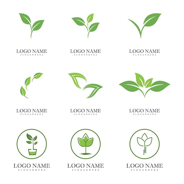 Zielony Liść Logo Ekologia Natura Element Wektor Ikona