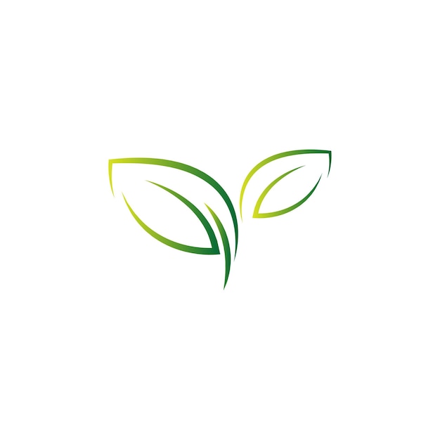 Zielony Liść Naturalny Liść Ikona Logo Szablon Projektu