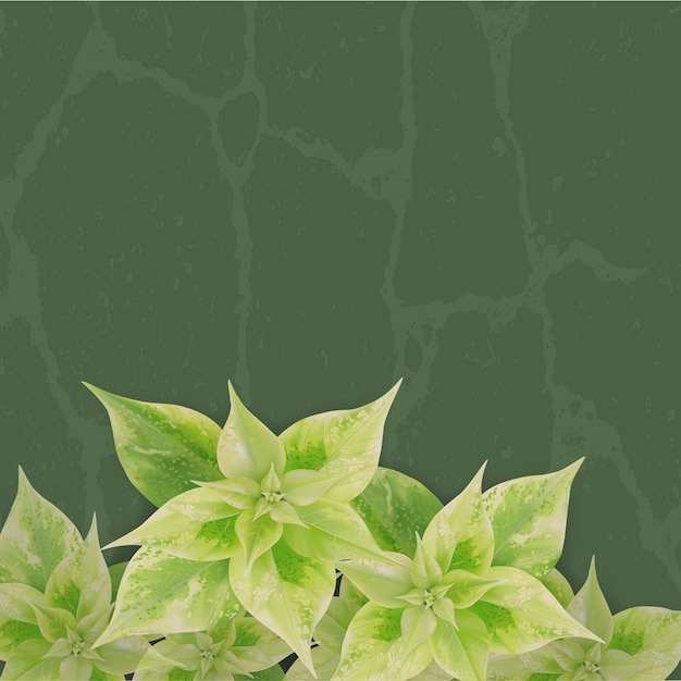 Plik wektorowy zielony liść z cieniem na zielonym tle
