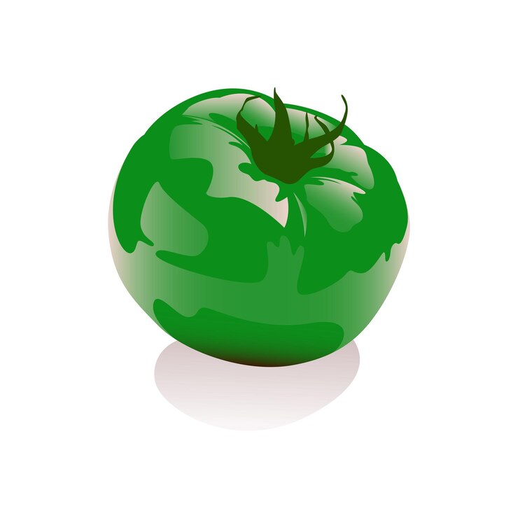 Wektor zielony pomidor 3d wektor ilustracja na białym tle