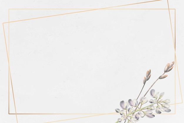 Plik wektorowy złota rama z pół krzewiastym wektorem kwiatu łubinu