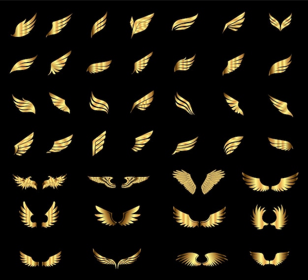 złote skrzydła ustawione na czarnym tle Zestaw złotych skrzydeł wektora elementu logo