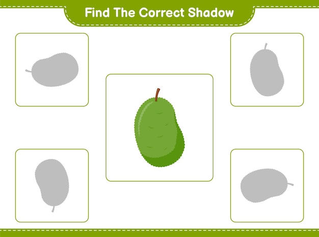 Znajdź Odpowiedni Cień. Znajdź I Dopasuj Odpowiedni Cień Jackfruit. Gra Edukacyjna Dla Dzieci, Arkusz Do Druku