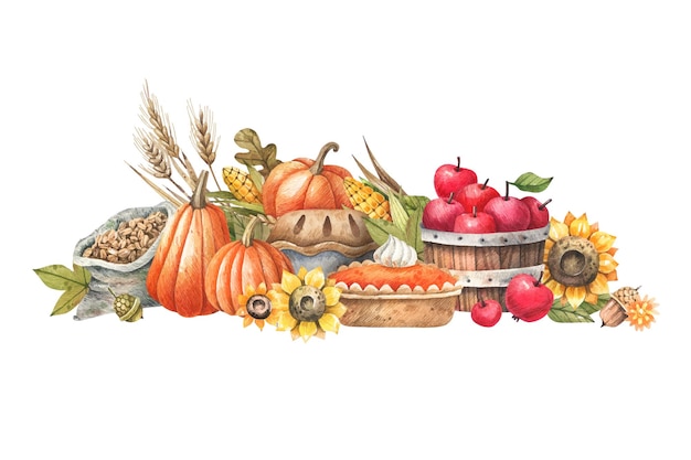 Żniwa, Święto Dziękczynienia akwarela ilustracja na białym tle. Dojrzałe warzywa