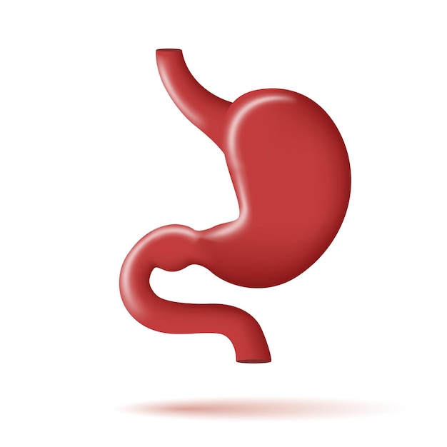 Żołądek 3d ikona zdrowego ludzkiego narządu ilustracja na białym tle