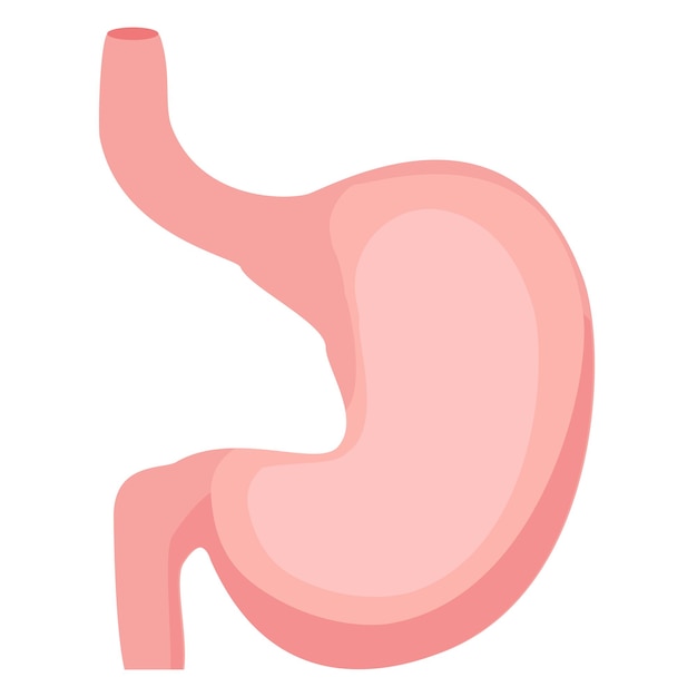 Żołądek ikona Ludzkie narządy wewnętrzne symbol Anatomia układu pokarmowego Ilustracja wektorowa w płaski na białym tle
