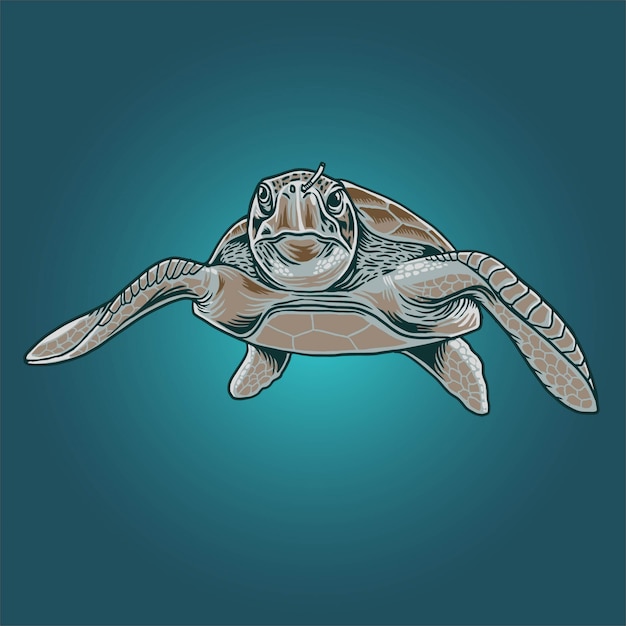 Żółwie Morskie Ilustracji