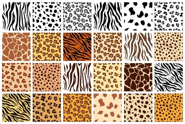 Zwierzę wzór zestaw ssaków futro kolekcja skórek druku drapieżniki gepard żyrafa tygrys zebra lampart dalmatyńczyk jaguar tło do druku ilustracja wektorowa