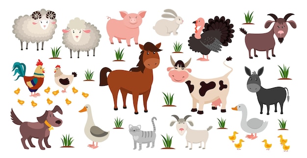 Plik wektorowy zwierzęta gospodarskie koncepcja hodowli stada kreskówka owca i koza koń lub krowa ptaki domowe z uroczymi kurczakami śmieszne zwierzęta i zwierzęta gospodarskie naturalne rolnictwo wektor rustykalny kolorowy zestaw