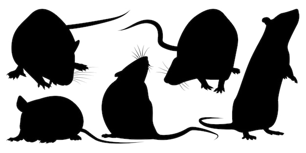 Zwierzęta gospodarskie szczur sylwetka wektor ilustracja