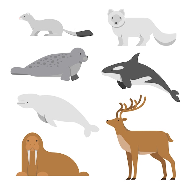 Zwierzęta Północne I Arktyczne. Ilustracje Wektorowe W Stylu Płaski