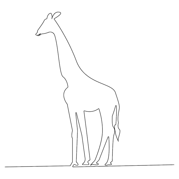 Plik wektorowy Żyrafa jedna linia ciągły zarys rysunek sztuki wektorowej i prosty minimalistyczny projekt