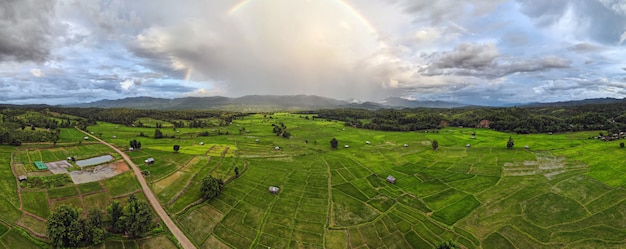 Zdjęcie 180 stopni bezszwowa panorama powietrzna tęczy podczas deszczu nad zielonym polem tarasu ryżowego